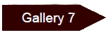 Gallery 5 Link